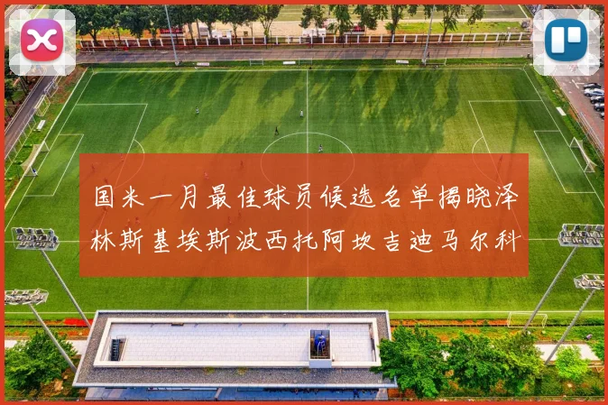 国米一月最佳球员候选名单揭晓泽林斯基埃斯波西托阿坎吉迪马尔科争夺荣誉
