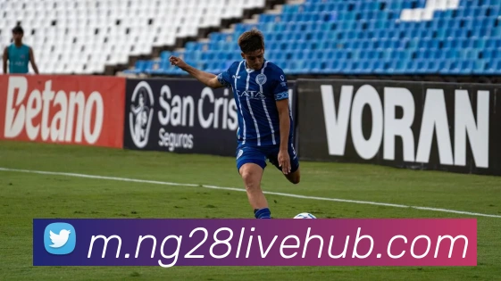 南宫28平台生态图